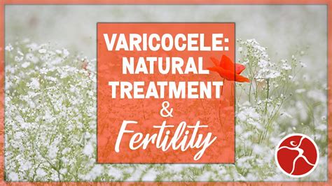 Varicocele Natural Treatment Fertility Youtube