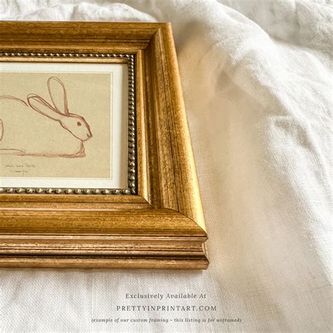 Bunny Rabbit Sketch, 00586 | Unframed – Pretty in Print Art Ltd