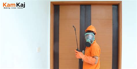 Emergency Pest Control Fumigation Services Near Me Kam Kaj