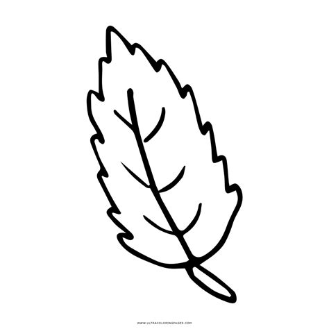 Dibujo De Hoja Para Colorear Ultra Coloring Pages