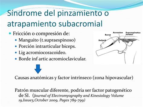 Ppt Exploramos Adecuadamente El Hombro Doloroso Powerpoint