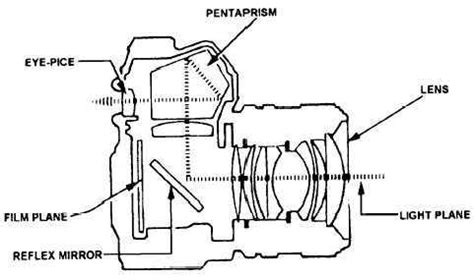anatomy   camera exploring  intricate diagrams