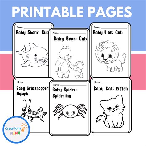 Baby Animals Coloring Pages | Made By Teachers