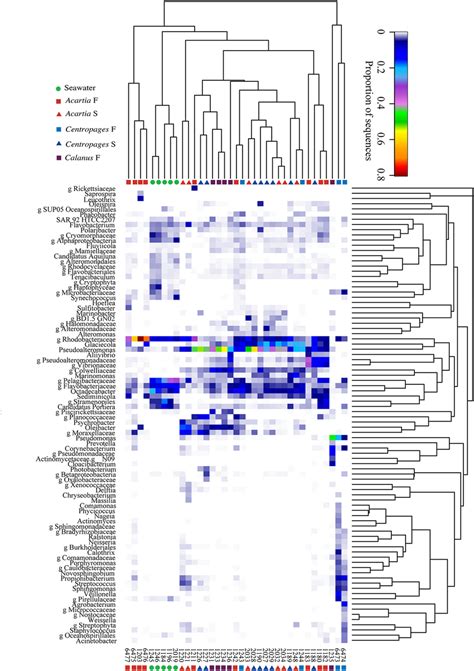 Heatmap With Dendrograms Hierarchical Clustering Based On Bray Curtis