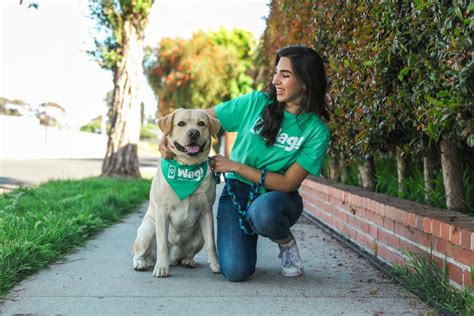 How to Find the Perfect Dog Walker