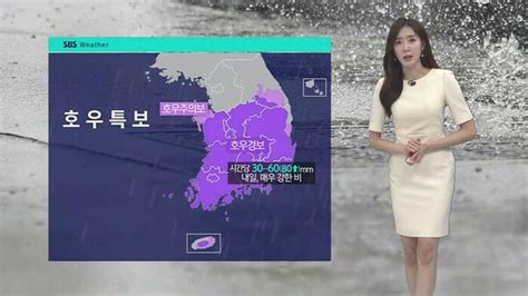 날씨 충청 이남 호우경보내일 남해안 · 제주 매우 강한 비 네이트 뉴스