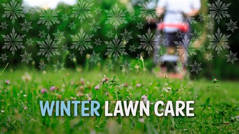 Winter Lawn Care Youtube