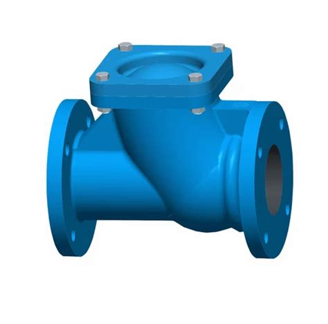 Normex Valve Normex Ball Check Valve Manufacturer From New Delhi