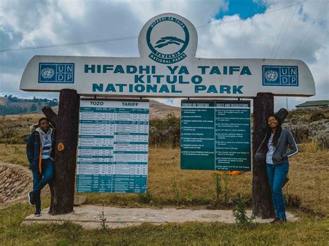 Kitulo National Park The Serengeti Of Flowers Tanzania Safaris Tours