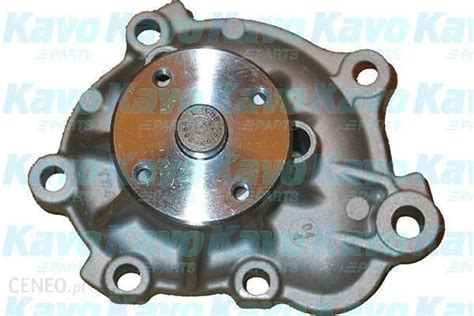 KAVO PARTS Pompa Wody TW 5124 Opinie I Ceny Na Ceneo Pl