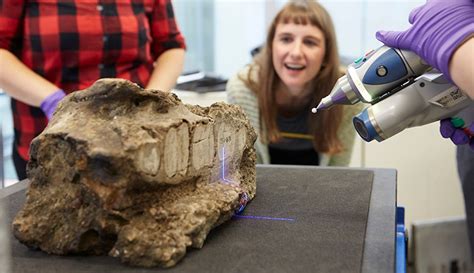 Darwin S Giant Ground Sloth Skull Pieced Together And Scanned For The