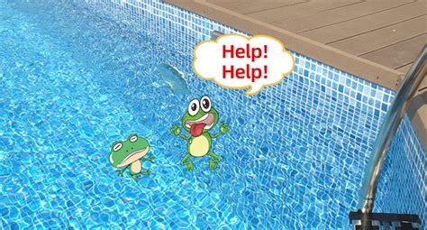 Hkz Pool Animal Escape Ramp Pool Critter Frog Saver