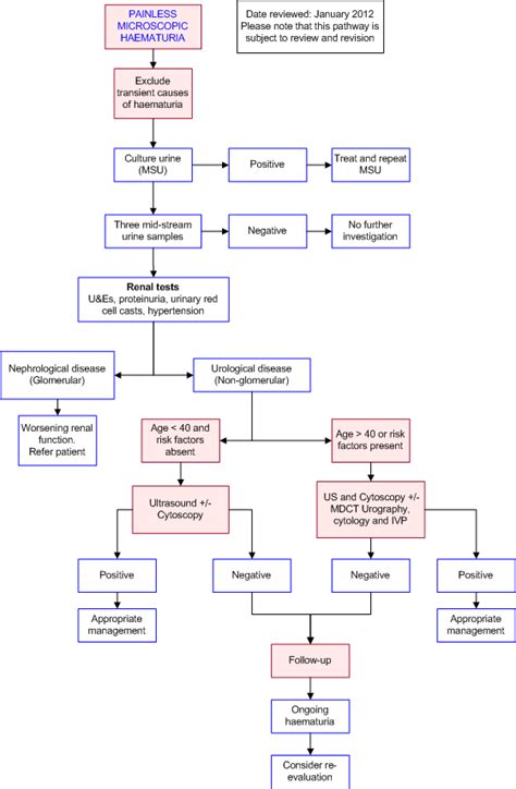 Painless Hematuria | Hot Sex Picture