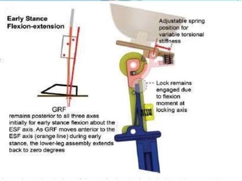 Designof A Fully Passive Prosthetic Knee Ppt Free Download