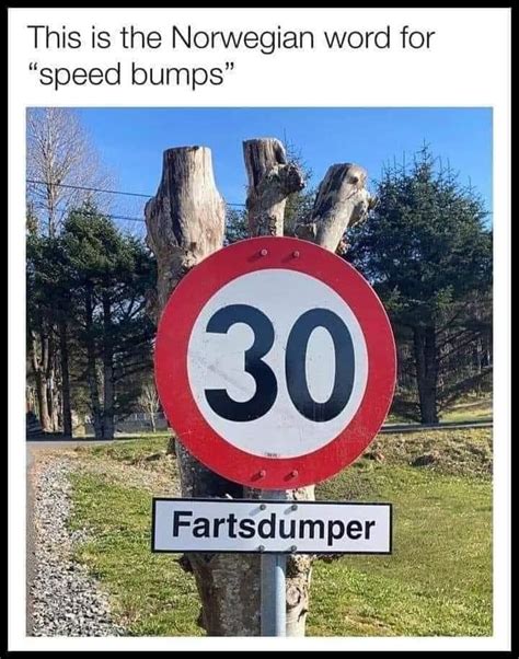 Memes W Linky Gay NYC Dad