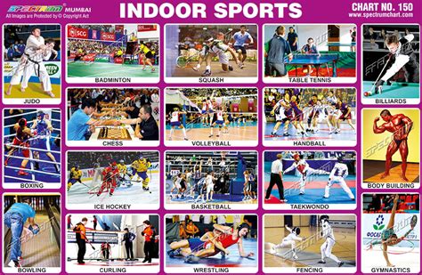 Indoor Sports Chart at best price in Mumbai by Skylark Printers | ID: 9414249430