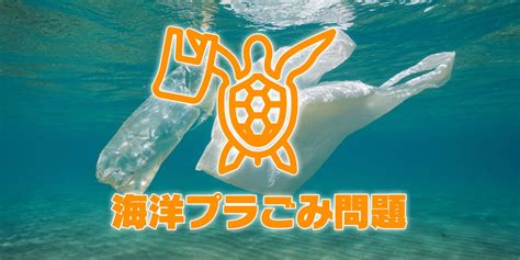 海洋ごみ対策の検索結果 Yahoo きっず検索