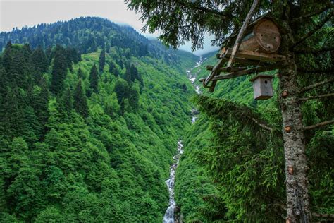 艾德尔文化和旅游保护开发区位 Ayder Kültür ve Turizm Koruma Gelişim Bölgesi 土耳其