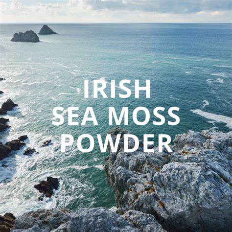 ATLANTIC IRISH SEA MOSS POWDER – GGGNATURAL