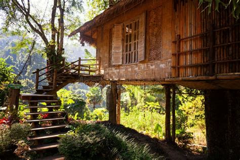 House of Bamboo in the Jungle, Beautiful Landscape, Travel To Southeast ...