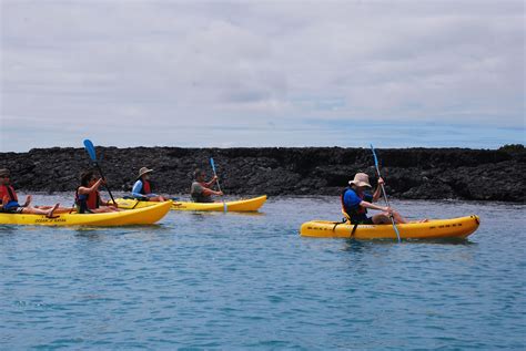 Kayaking Galapagos Galapagos Islands Tours