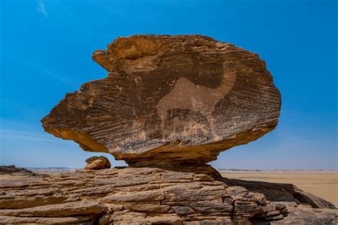 Immerse Yourself In The Beauty Of Alula Visit Saudi Official Website