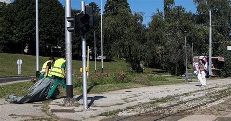 Galerija Posljednjih Dana Ovdje Je Invazija Kosilica Ali Korov Vi I