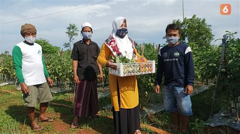 Berita Metode Ecofarming Hari Ini Kabar Terbaru Terkini Liputan