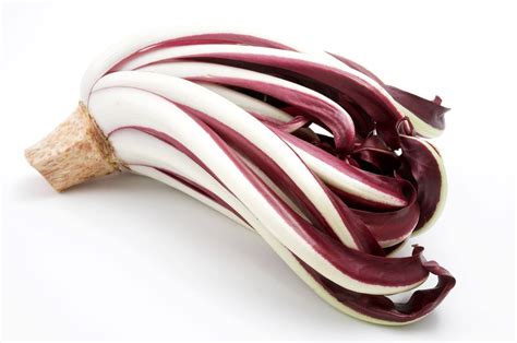 Radicchio Di Treviso Caratteristiche Benefici E Tipologie