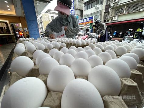 雞蛋批發、產地價28日起陸續漲3元 近2個月來首度止跌回升 生活 中央社 Cna