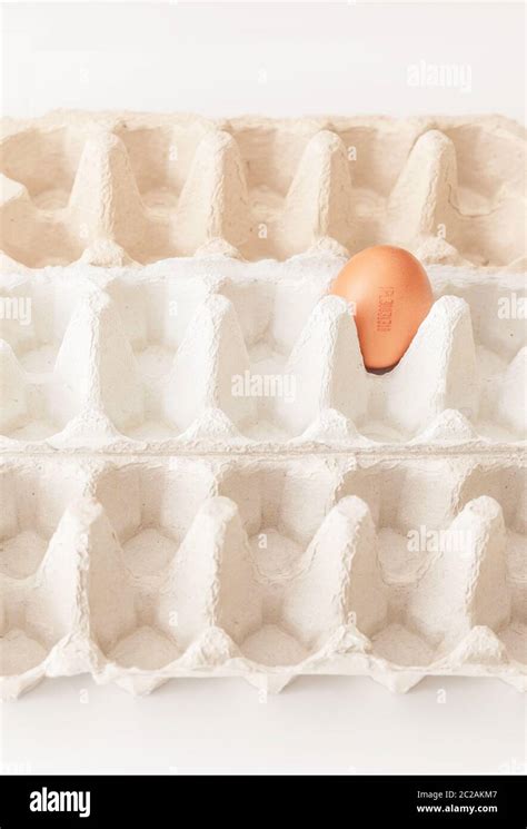 One Egg With A Number In Empty Cartons Symbolizing Mass Production