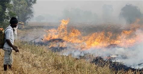 Stubble Burning Incidents Rise To 49k In Punjab Daily Punjab Times