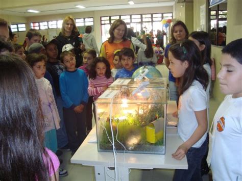 Foram Expostos Trabalhos Na Feira De Ci Ncias Foto Unipampa Divulga O