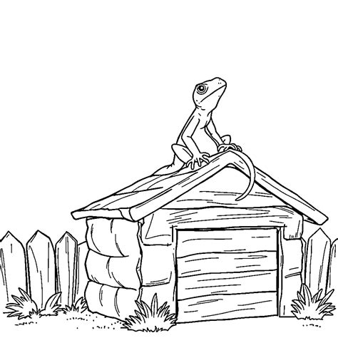 how to gecko shaking for beginners 7