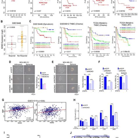 Nono Confers Drug Resistance Via Stat Gene Regulation In Tnbc A C