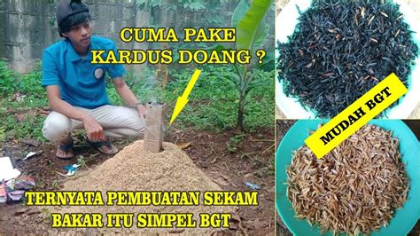 Cara Membuat Sekam Bakar Dengan Mudah Untuk Media Tanam Dengan Alat