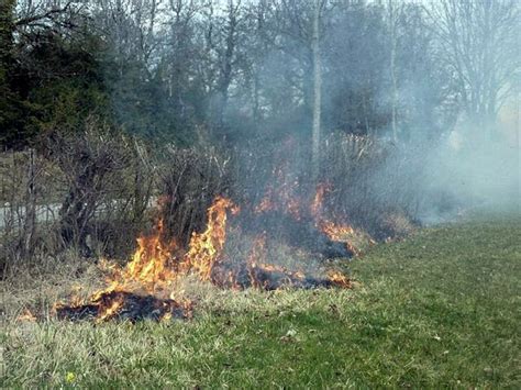 JANNEYRIAS Il brûlait ses déchets verts dans son jardin alors que cest