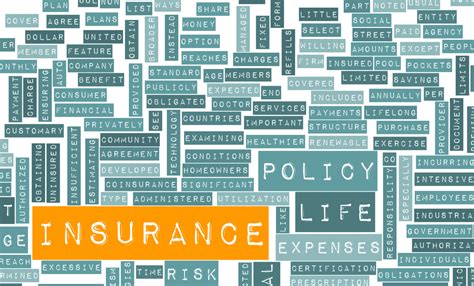 navigating insurance options empowering informed choices  ii