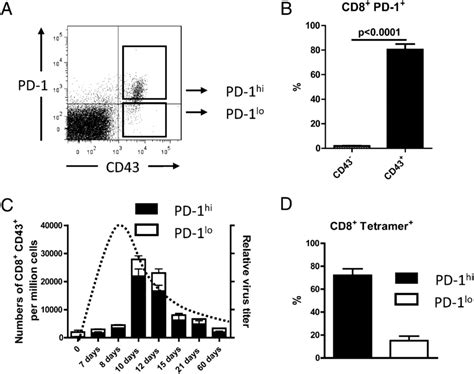 Expression Of Pd On Activated Cd T Cells During Acute Fv