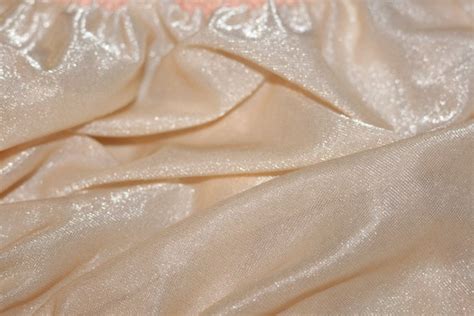 Vintage Nude Dirndl Blouse Crop Top Puffed Sleeve Lac Gem