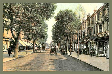 Eastbourne Past Terminus Road C1900 Grenville Godfrey Flickr