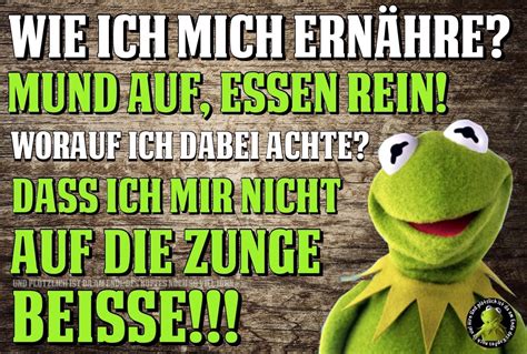 Lustige Sprüche Kermit Der Frosch Bilder Spruche Memes Und Witze