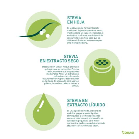 Qu Pasa Si Consumo Stevia Todos Los D As Endulzantesaludable