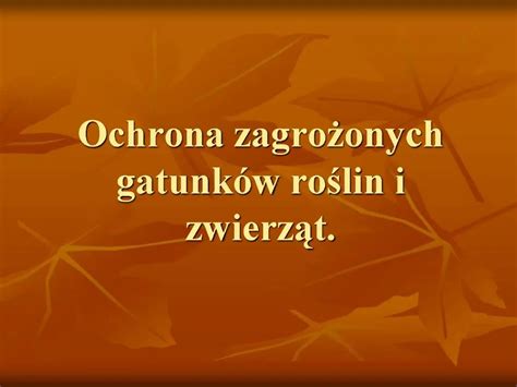 Ppt Ochrona Zagrozonych Gatunk W Roslin I Zwierzat Powerpoint