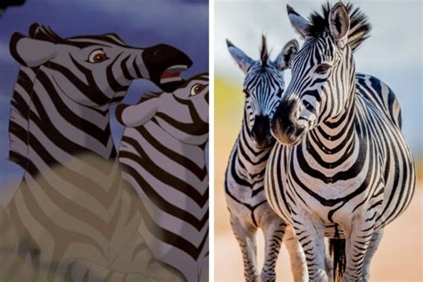 20 Animals In Lion King Movie You Should Know In Real Life