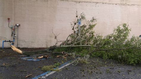 PHOTO GALLERY: Hurricane Hermine damage | Plant City Observer