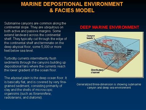 6 MARINE SEDIMENTATION FACIES DEPOSITIONAL ENVIRONMENT Definition Physical