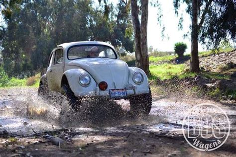 Pin by Luis Ortiz on VW Class 11 | Volkswagen beetle, Beetle, Volkswagen