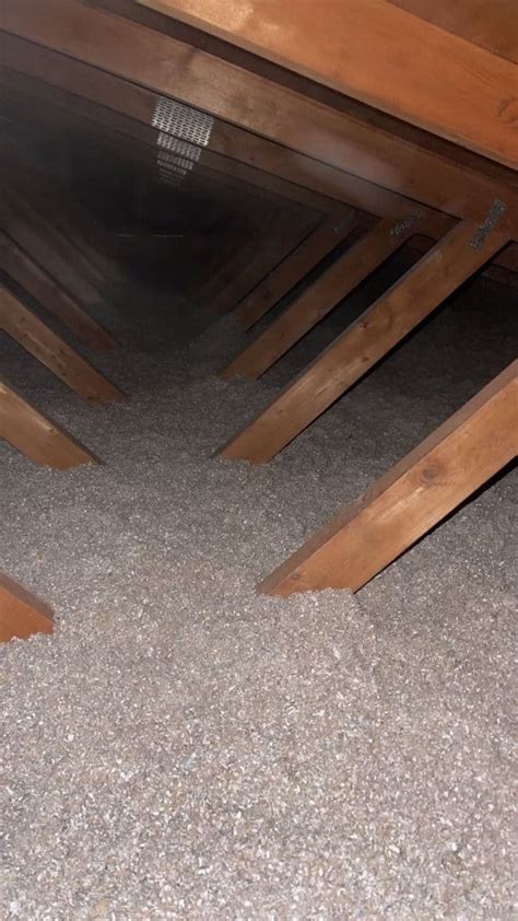 Seattle Crawl Space Attic Cleaning