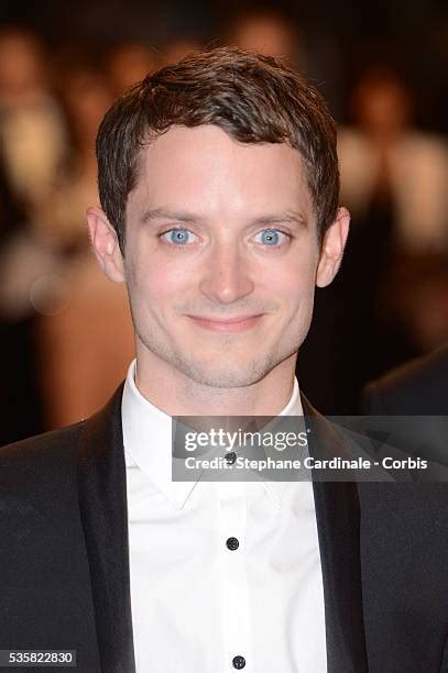 123 Elijah Wood Maniac Stock Photos, High-Res Pictures, and Images ...